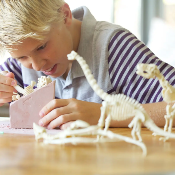 4M Vaikiška laboratorija: brachiozauro skeletas