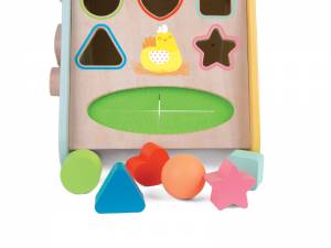 Medinė lavinamoji dėžutė Medinė lavinamoji dėžutė