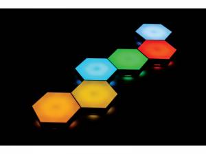 Sieninės panelės reaguojančios į prisilietimą, 6 vnt